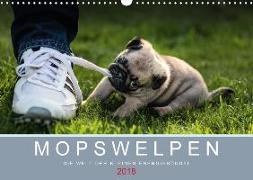 Mopswelpen (Wandkalender 2018 DIN A3 quer)