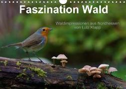 Faszination Wald. Waldimpressionen aus Nordhessen von Lutz Klapp (Wandkalender 2018 DIN A4 quer)