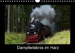 Dampferlebnis im Harz (Wandkalender 2018 DIN A4 quer)