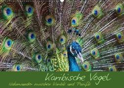 Karibische Vögel - Naturwunder zwischen Karibik und Pazifik (Wandkalender 2018 DIN A2 quer)