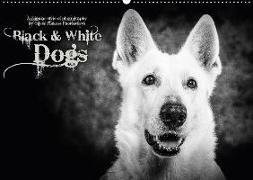 Dogs - Black & White (Wandkalender 2018 DIN A2 quer)