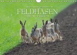 Emotionale Momente: Feldhasen / CH-Version (Wandkalender 2018 DIN A4 quer)