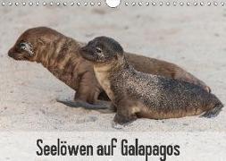 Seelöwen auf Galapagos (Wandkalender 2018 DIN A4 quer) Dieser erfolgreiche Kalender wurde dieses Jahr mit gleichen Bildern und aktualisiertem Kalendarium wiederveröffentlicht