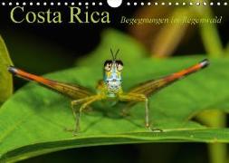 Costa Rica Begegnungen im Regenwald (Wandkalender 2018 DIN A4 quer) Dieser erfolgreiche Kalender wurde dieses Jahr mit gleichen Bildern und aktualisiertem Kalendarium wiederveröffentlicht