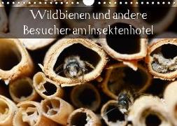 Wildbienen und andere Besucher am Insektenhotel (Wandkalender 2018 DIN A4 quer) Dieser erfolgreiche Kalender wurde dieses Jahr mit gleichen Bildern und aktualisiertem Kalendarium wiederveröffentlicht