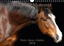 Magische Momente - Pferde Horses Caballos (Wandkalender 2018 DIN A4 quer) Dieser erfolgreiche Kalender wurde dieses Jahr mit gleichen Bildern und aktualisiertem Kalendarium wiederveröffentlicht