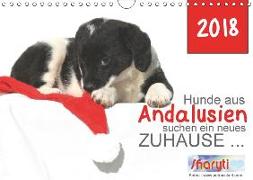 Hunde aus Andalusien suchen ein neues Zuhause ... (Wandkalender 2018 DIN A4 quer) Dieser erfolgreiche Kalender wurde dieses Jahr mit gleichen Bildern und aktualisiertem Kalendarium wiederveröffentlicht