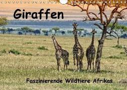 Giraffen. Faszinierende Wildtiere Afrikas (Wandkalender 2018 DIN A4 quer) Dieser erfolgreiche Kalender wurde dieses Jahr mit gleichen Bildern und aktualisiertem Kalendarium wiederveröffentlicht
