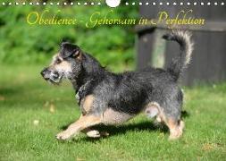 Obedience - Gehorsam in Perfektion (Wandkalender 2018 DIN A4 quer)