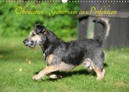 Obedience - Gehorsam in Perfektion (Wandkalender 2018 DIN A3 quer)