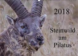 Steinwild am PilatusCH-Version (Wandkalender 2018 DIN A2 quer)