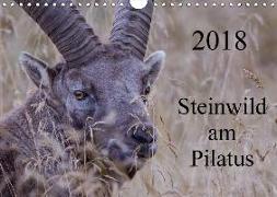 Steinwild am PilatusCH-Version (Wandkalender 2018 DIN A4 quer)