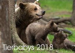Tierbabys 2018 (Wandkalender 2018 DIN A2 quer)