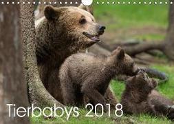 Tierbabys 2018 (Wandkalender 2018 DIN A4 quer)