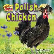 POLISH CHICKEN