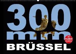 300mm - Brüssel (Wandkalender 2018 DIN A2 quer)