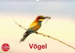 Vögel (Wandkalender 2018 DIN A3 quer)