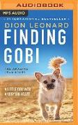 Finding Gobi: A Little Dog with a Very Big Heart