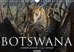 Botswana - Landschaft und Tierwelt (Wandkalender 2018 DIN A4 quer)