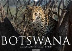 Botswana - Landschaft und Tierwelt (Wandkalender 2018 DIN A3 quer)