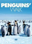 Penguins Walk