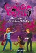 The Secret of the Shadow Bandit: 4