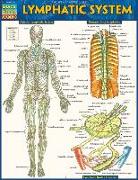 LYMPHATIC SYSTEM