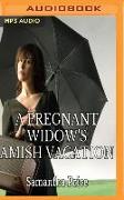 A Pregnant Widow's Amish Vacation