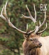 ELK