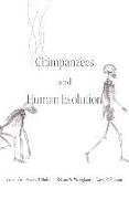 CHIMPANZEES AND HUMAN EVOLUTION