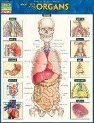 Anatomy of the Organs: Quickstudy Laminated Reference Guide