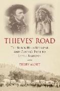 Thieves' Road: The Black Hills Betrayal and Custer's Path to Little Bighorn