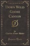 Down Wild Goose Canyon (Classic Reprint)
