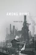 AMONG RUINS