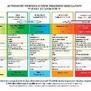 Autonomic Nervous System Table: Laminated Card