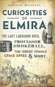 Curiosities of Elmira