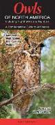 Owls of North American Including Nighthawks and Nightjars: A Comprehensive Guide to All Species