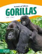 GORILLAS