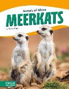 MEERKATS