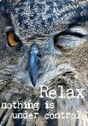 Magnet: relax nothing is under control