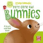 Clap Hands: Here Come the Bunnies