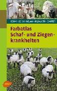 Farbatlas Schaf- und Ziegenkrankheiten