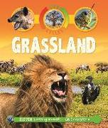 Life Cycles: Grassland