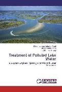 Treatment of Polluted Lake Water