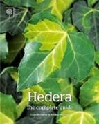 Hedera