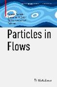 Particles in Flows