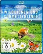 Wildbienen und Schmetterlinge