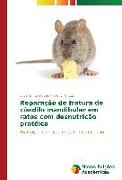 Reparação de fratura de côndilo mandibular em ratos com desnutrição protéica