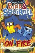 Bird & Squirrel on Fire