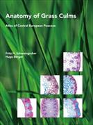 Anatomy of Grass Culms